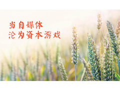 某上市公司花38亿收购981个公众号 自媒体沦为资
