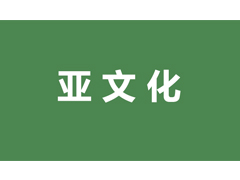 网络亚文化的“破壁之旅”