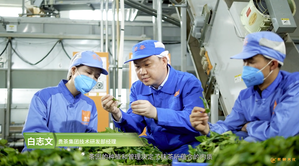 企业广告片制作公司,公司做宣传片