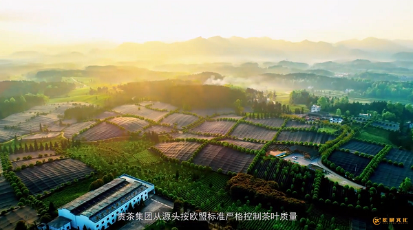 黄埔区创意宣传片