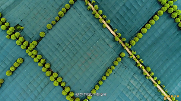 广州产品宣传片文案怎么写?