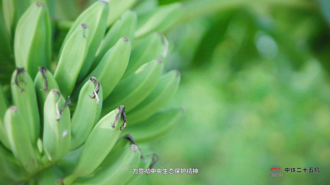 广州年会拍摄,广州公司年会合影拍摄