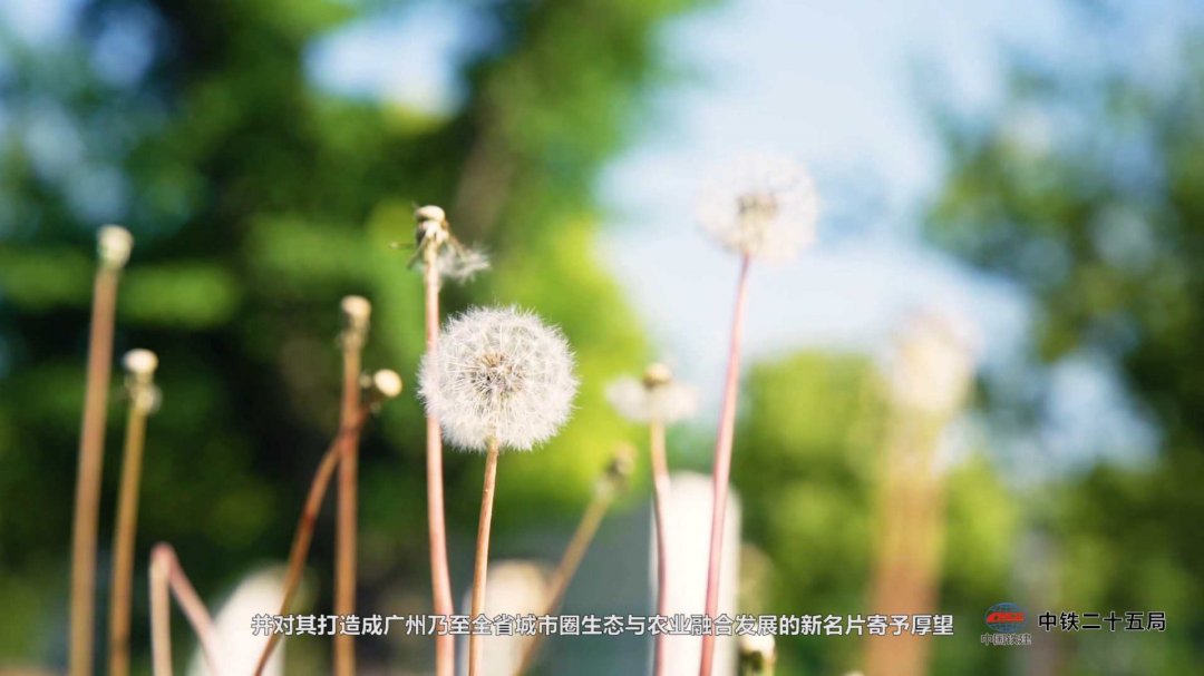 广州公司年会视频拍摄,广州公司年会拍摄