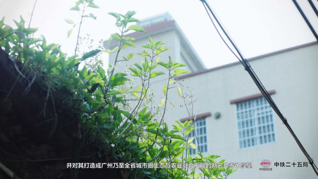广州年会合影拍摄地点,广州年会视频拍摄